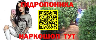 наркотики Новозыбков