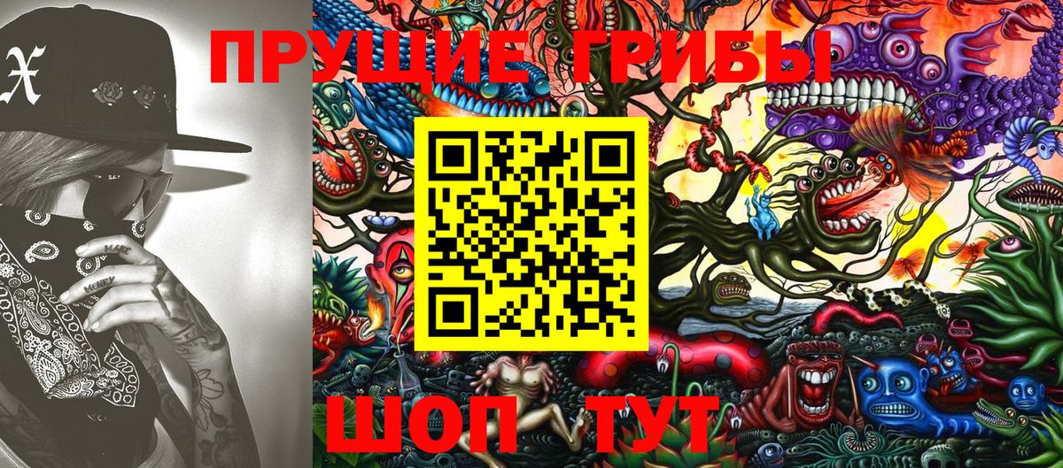 Галлюциногенные грибы Psilocybe  Псилоцибиновые грибы Psilocybine cubensis  Вход с VPN  Сокол 